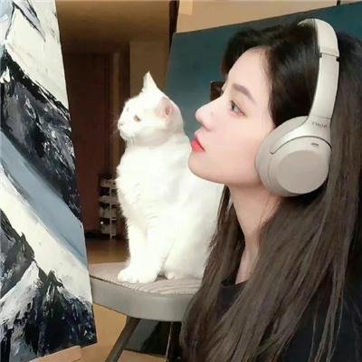 超完美杀手